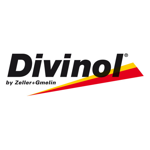 ������ �������� ����� Divinol Zweitaktoel G  | ������� 26670-K007